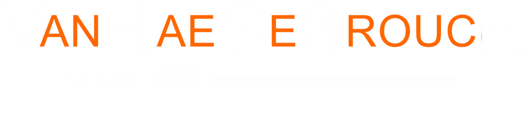 vhsbk web logotype 3 1024x250